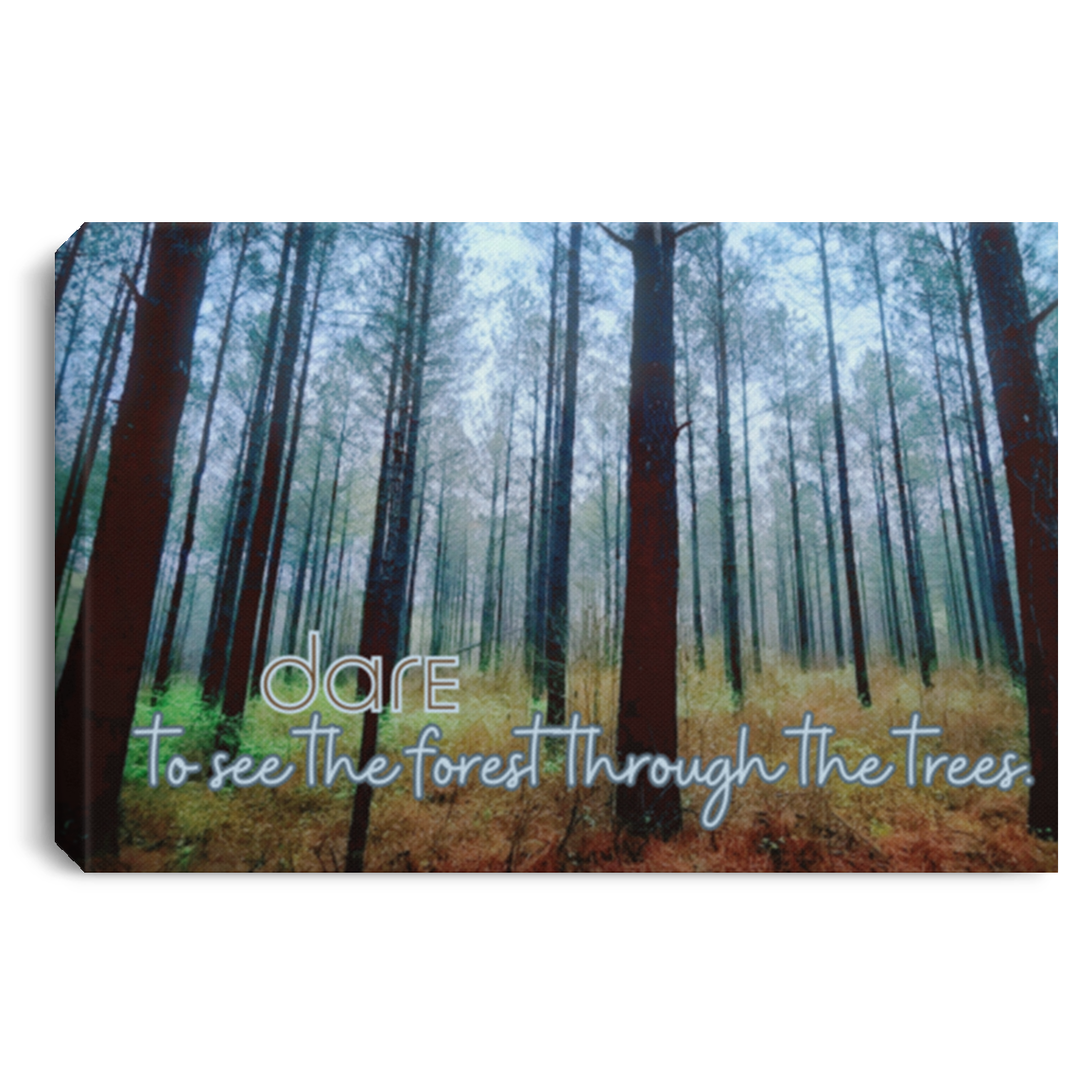 "Dare to See the Forest Through the Trees":Nature Photography by S.Mulcahy -  Canvas .75in Frame